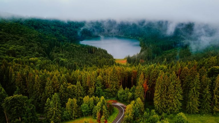 DCIM101MEDIADJI 0339.JPG