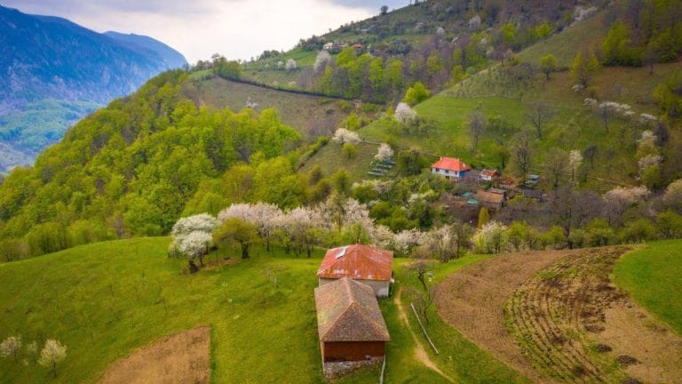 Cele mai frumoase locuri ascunse din Banat pentru o vacanță de neuitat Cele mai frumoase locuri ascunse din Banat pentru o vacanță de neuitat