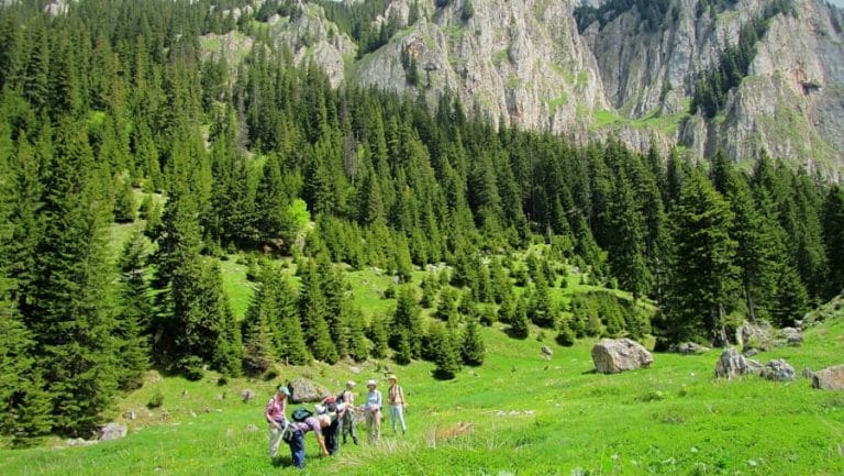 Cum să ții copiii fericiți și activi