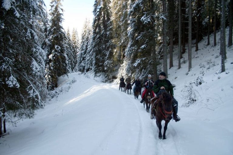 Drumeții cu cai în Bucovina