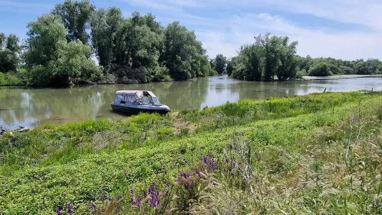 Ecoturism responsabil pe Canalul Crișan – Caraorman