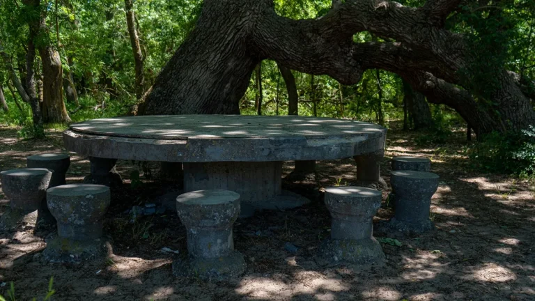 Pădurea Caraorman – legenda stejarilor seculari din Delta Dunării